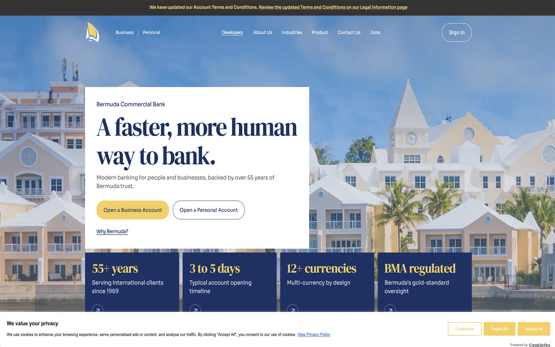 Corporate and business websites