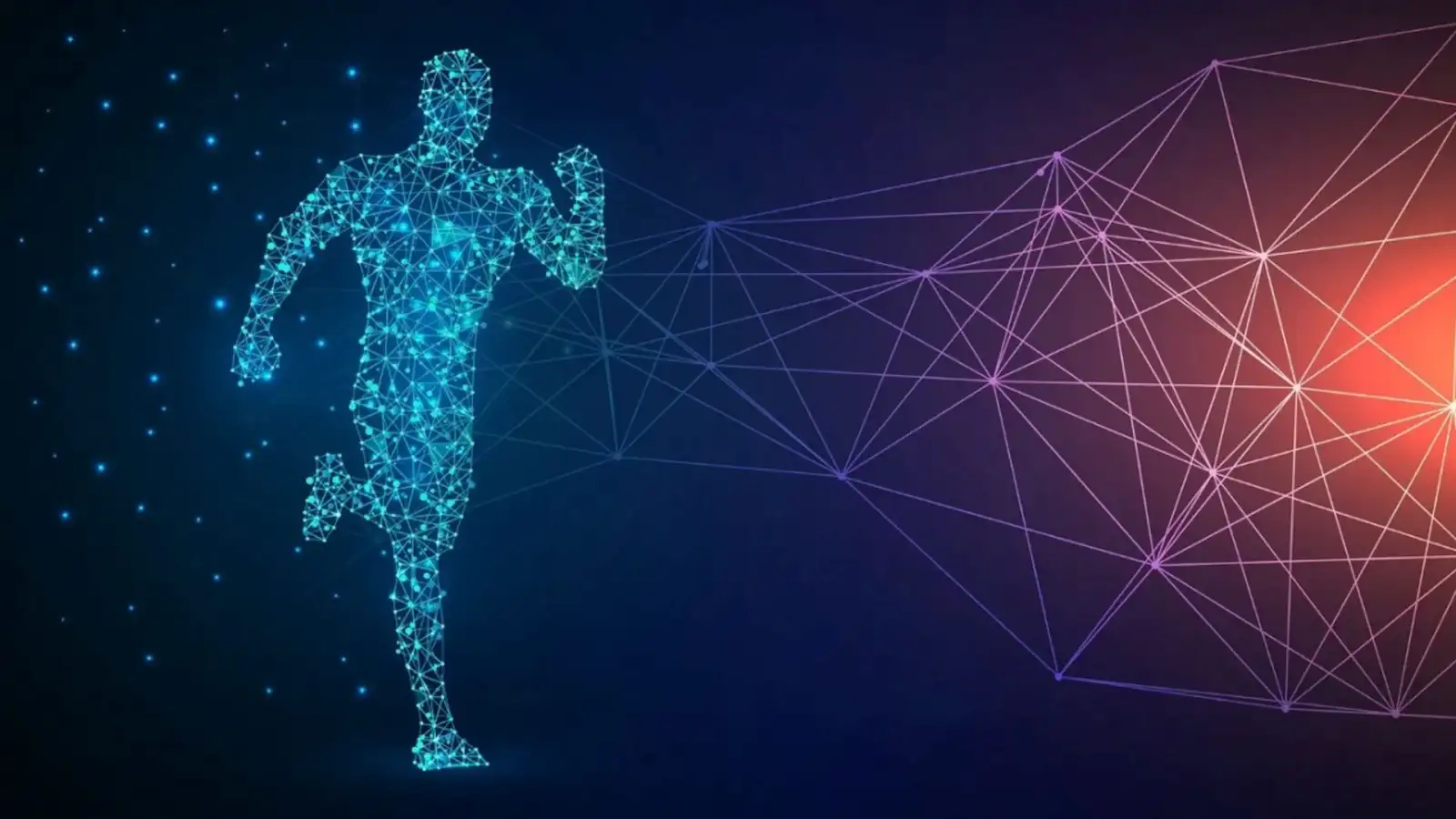 Commerce Architecture